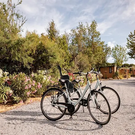 Suitable For The Disabled, In A Park, 1 5 Km From The Chalet *